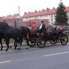 zdjęcie nr 96