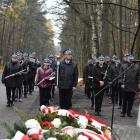 zdjęcie nr 143