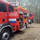 Fotka nr 2 z 7