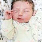  3 kwietnia 2026 r. o godz. 22:50 urodziła się  Kasia . Ważyła 3610 g i mierzyła 55 cm....