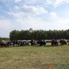 zdjęcie nr 68