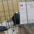 zdjęcie nr 81