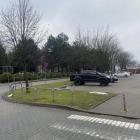 Fotka nr 2 z 4