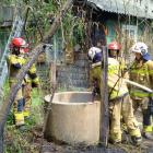 Fotka nr 2 z 11