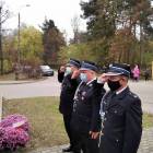 zdjęcie nr 10