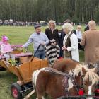 zdjęcie nr 120