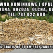 zdjęcie nr 