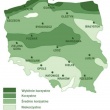 zdjęcie nr 