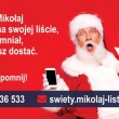 zdjęcie nr 