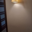 zdjęcie nr 