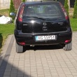 zdjęcie nr 