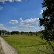 zdjęcie nr 