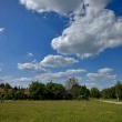 zdjęcie nr 