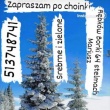 zdjęcie nr 