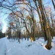 zdjęcie nr 