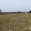 zdjęcie nr 
