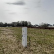 zdjęcie nr 