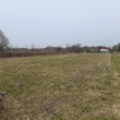 zdjęcie nr 