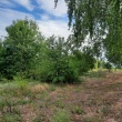 zdjęcie nr 
