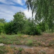zdjęcie nr 