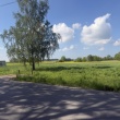 zdjęcie nr 
