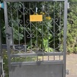 zdjęcie nr 