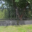 zdjęcie nr 