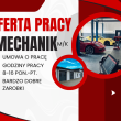 zdjęcie nr 
