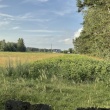 zdjęcie nr 