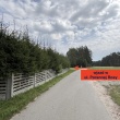 zdjęcie nr 