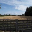 zdjęcie nr 