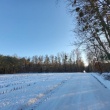 zdjęcie nr 