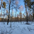 zdjęcie nr 