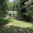 zdjęcie nr 
