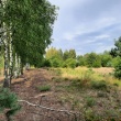 zdjęcie nr 