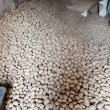 Ziemniaki odpadowe  - ogłoszenia 2592362 | eGarwolin.pl