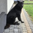 zdjęcie nr 