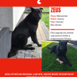 zdjęcie nr 