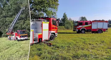 Kot uwięziony na drzewie. Akcja strażaków z Wygody i Garwolina