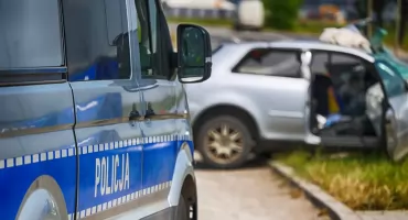 Kierowca osobówki zderzył się z łosiem