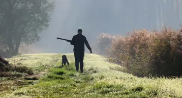 Ostrzeżenie dla mieszkańców: Nadchodzi sezon polowań zbiorowych!
