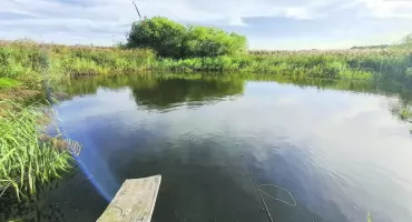 Mieszkańcy Ryczysk podjęli ważną decyzję! 