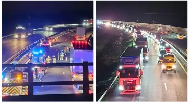 Tragiczny splot zdarzeń na S17 - Z dachującego auta wypadł pies...