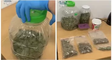 Prawie kilogram marihuany i plantacja konopi w gminie Garwolin! Zdecydowana akcja kryminalnych