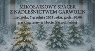 Leśne Mikołajki: Nadleśnictwo Garwolin zaprasza na ostatni w roku spacer przyrodniczy
