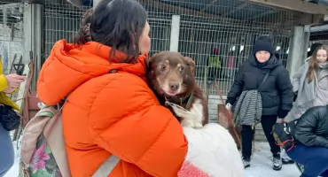 PILNE: Schronisko w Sobolewie zostanie zamknięte! Decyzja weterynarza i wielki protest