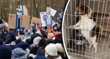 Wojewoda mazowiecki żąda wyjaśnień w sprawie schroniska w gminie Sobolew!