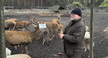 Zagroda w Cyganówce do likwidacji