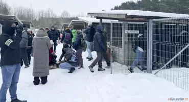 Będzie sekcja 26 martwych psów - Prokuratura bada sprawę znęcania się nad zwierzętami w Happy Dog