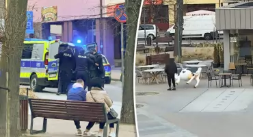Zaatakował zwierzę i funkcjonariusza w centrum miasta. Został zatrzymany.